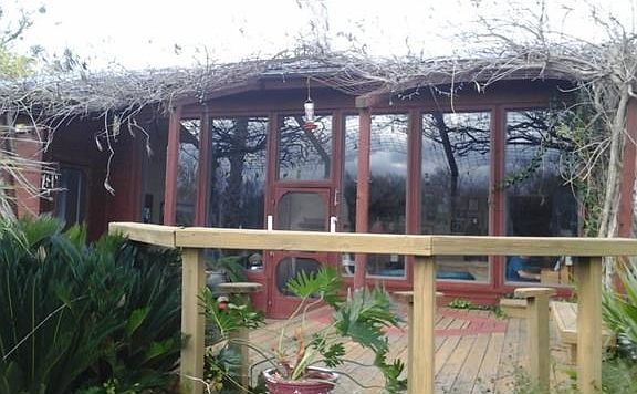 Rear deck is covered with Trumpet vines making amazing and beaut