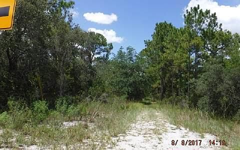 3rd image of 6814 Wisteria Pl
