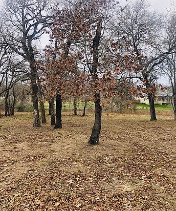 5th image of 173 Woodlands Dr