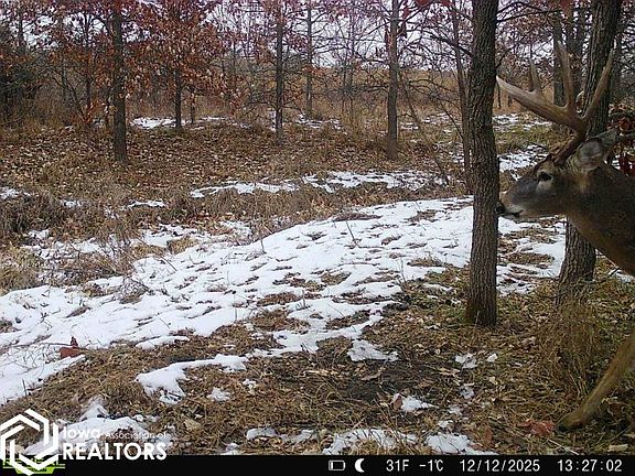 3rd image of 0 200th St