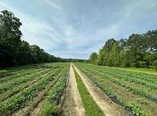 0 Old Bell Rd, Saint George, SC 29477