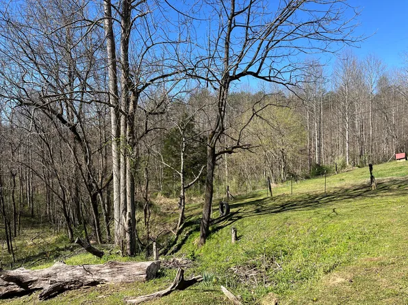 617 Walk Log Br, Jackson, KY 41339