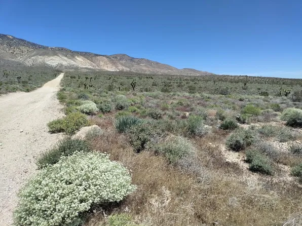 Paradise Way Apn 224 #222-56-00, Mojave, CA 93501