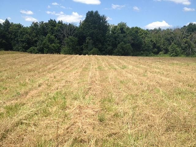 1st image of 155 Stone Valley Dr SW