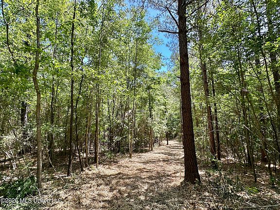 4th image of 0 McNair Springs Rd