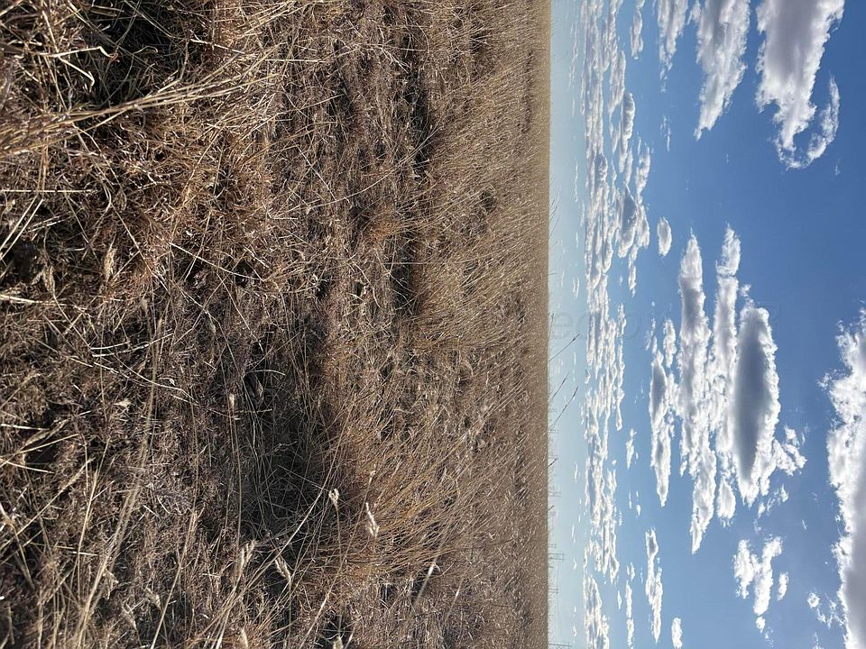 2nd image of 0 Morton Elevator Rd