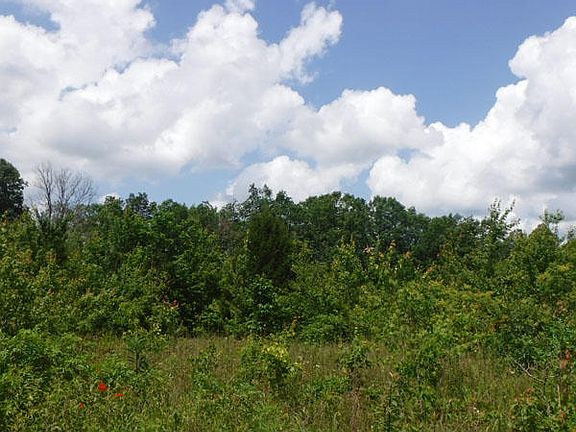 4th image of 43.94 Acre Limerick Dr