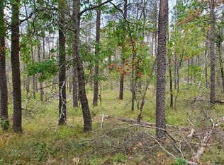 277 W Nine Mile Rd, Irons, MI 49644