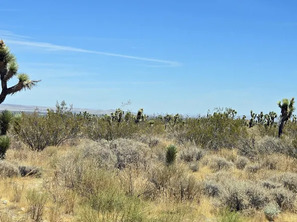Vicinity Ave #X4, Llano, CA 93544