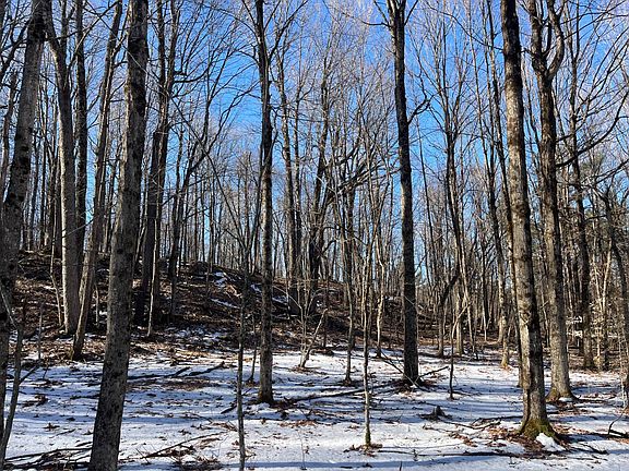 5th image of 325 Lafaver Rd #1