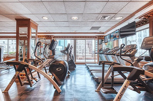 Rented by Platinum Properties | media 9