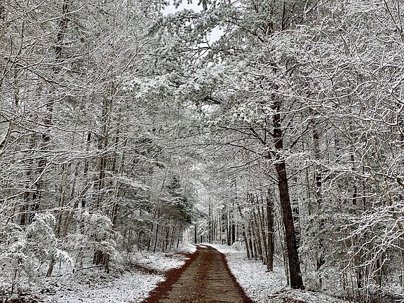 3rd image of 4125 Indian Mound Rd