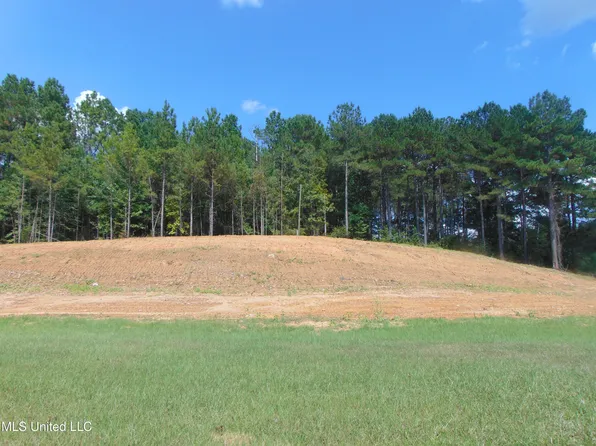 David Britt St, Wesson, MS 39191