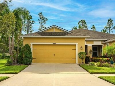 11714 Wrought Pine Loop, Riverview, FL, 33569