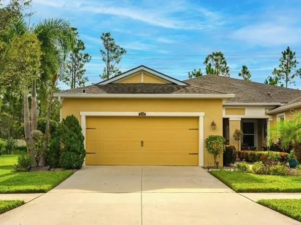 11714 Wrought Pine Loop, Riverview, FL 33569