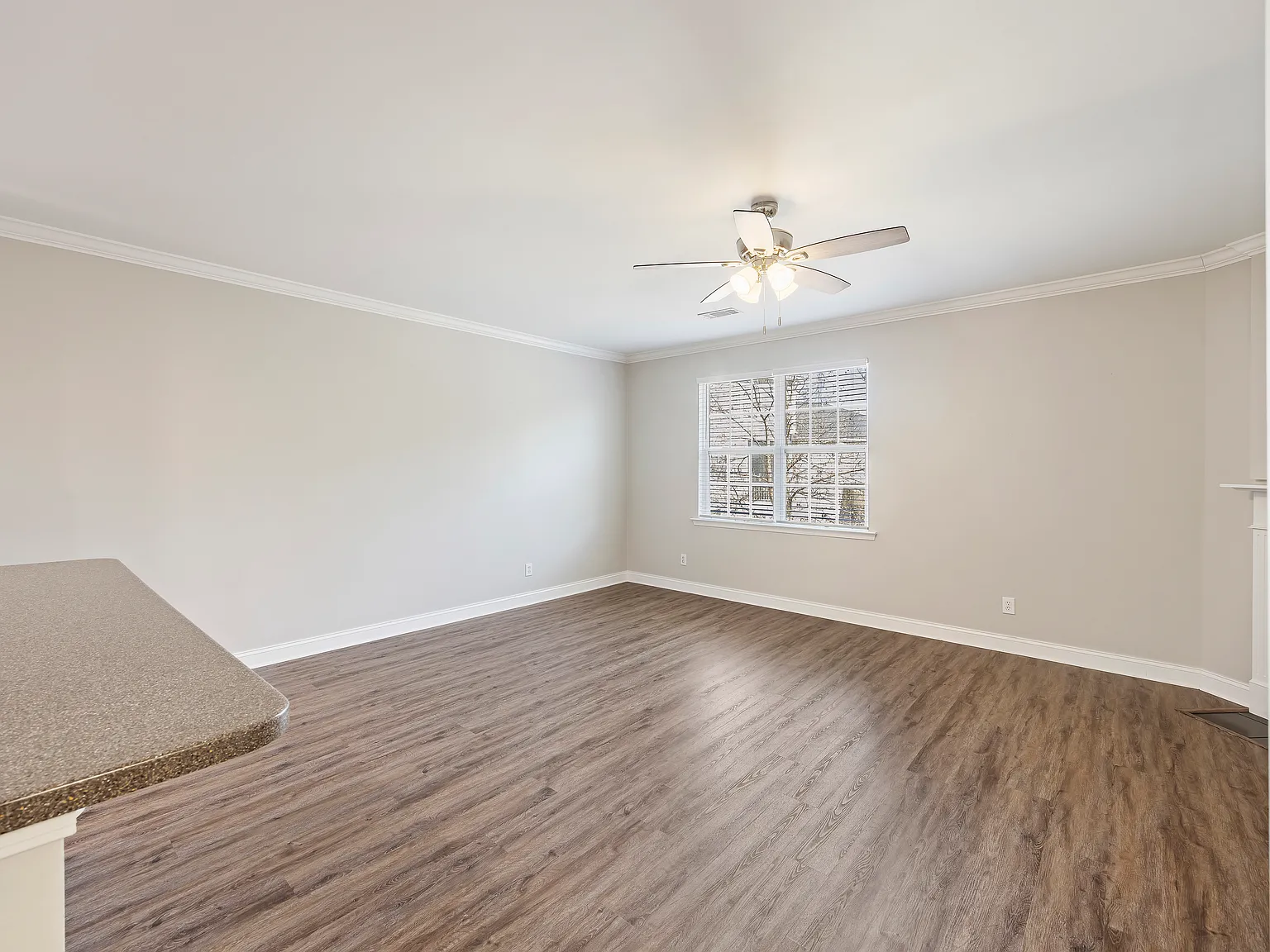 4218 Climbing Tree Ct — Photo 4