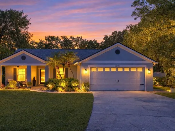 5801 Black Walnut Ct, Tampa, FL 33625