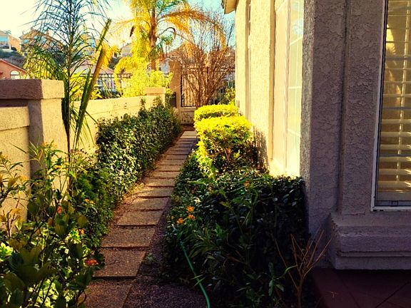 Side Yard