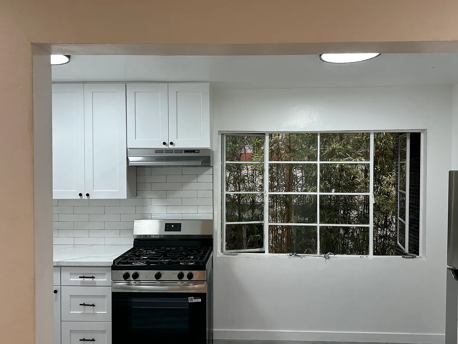 1 bed, 700 sqft, $2,495 — Photo 4