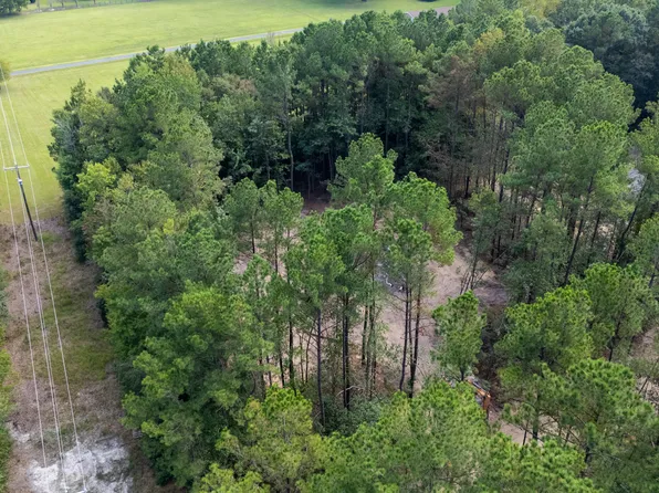 0 Us Hwy 117 N #Remnant, Willard, NC 28478