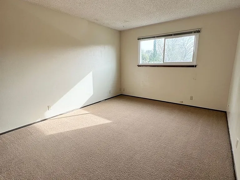 3512 Adams Ln — Photo 10