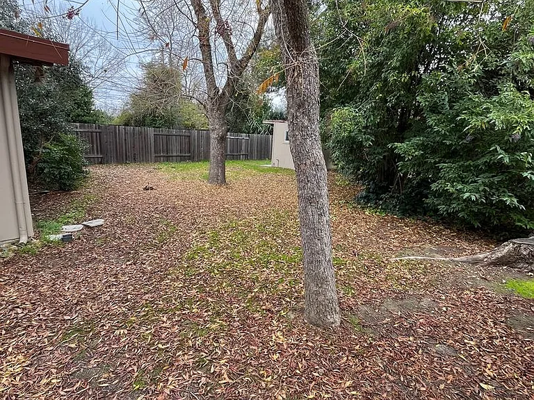 908 Oak Ave — Photo 23