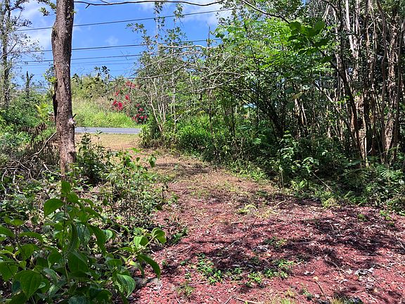 5th image of 15-1463 21st Ave Lot 413