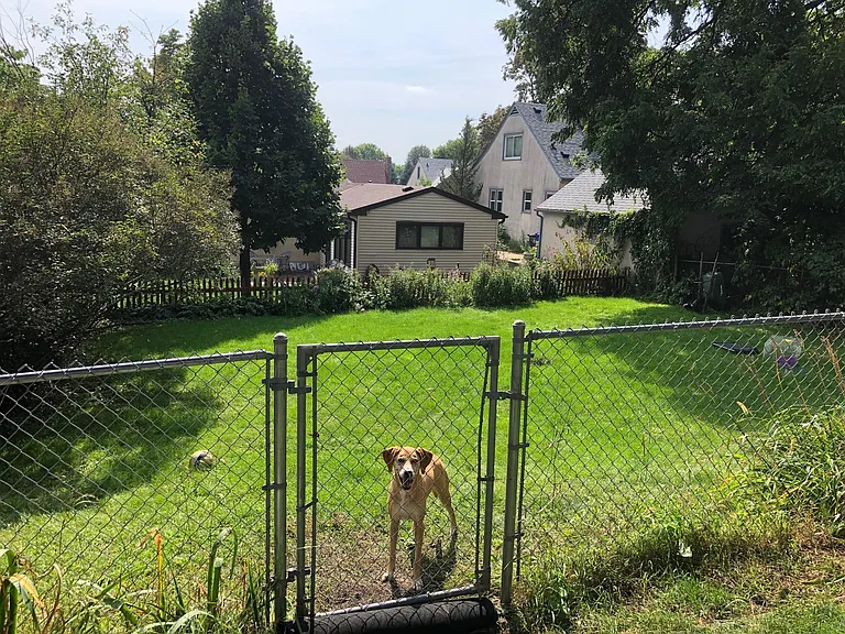 Recent photo of fenced in yard
