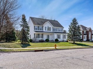 910 Adrienne Ave, Stewartsville, NJ 08886