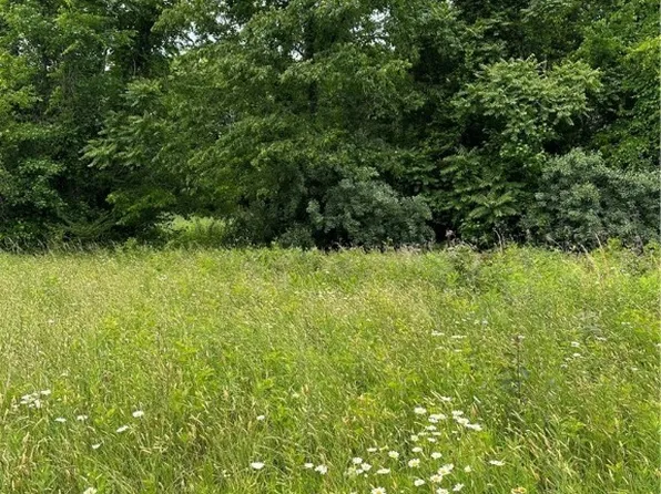 0 Winisfree Jonesboro Church Rd #A1, Blackstone, VA 23824