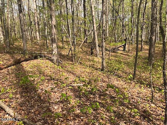 4th image of Cowpens Dr