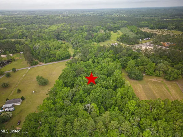 0 Billy Hinton Rd, Lucedale, MS 39452