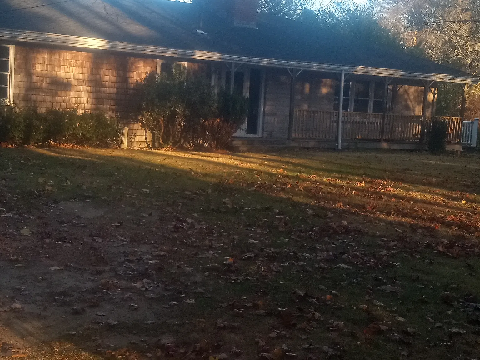 1 bed, 550 sqft, $1,650 — Photo 4