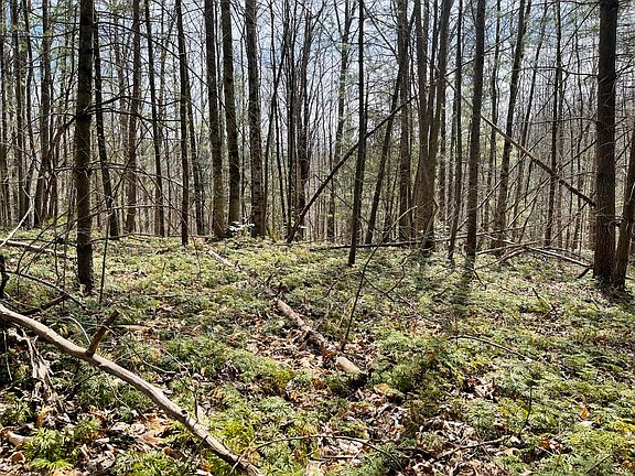 3rd image of 0 Bracken Creek Rd