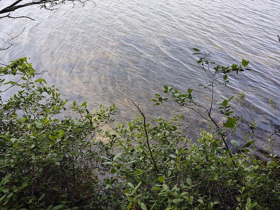 Marsh Ln, Hawks, MI 49743 Zillow