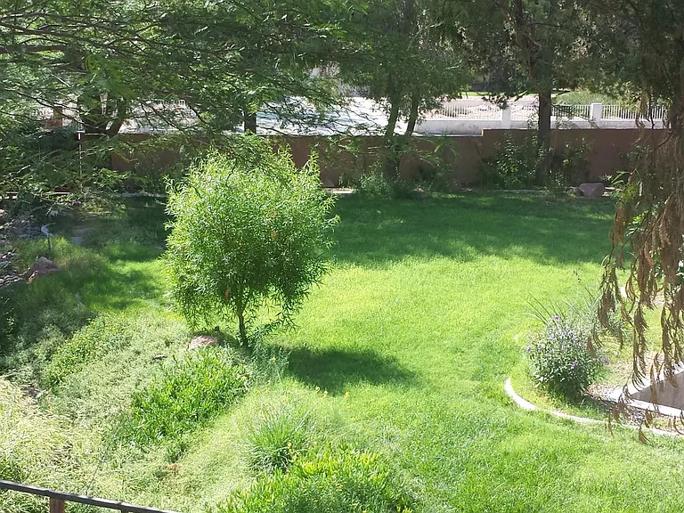 1650 Belcastro St #GUEST HOUSE — Photo 15