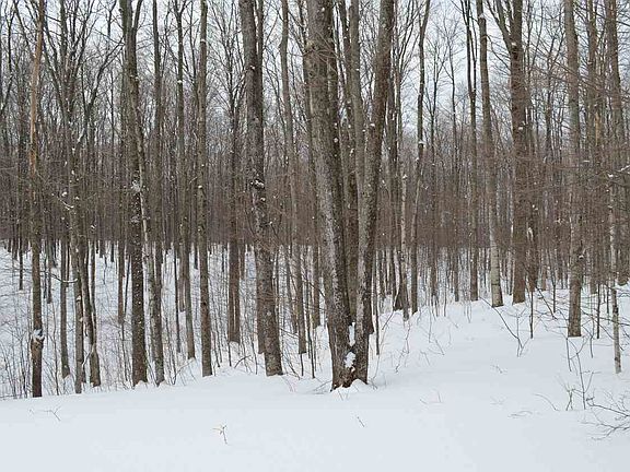 5th image of 3431 Needles Dr