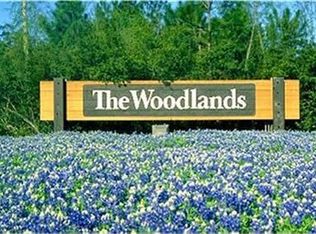 171 Hearthshire Ct, Magnolia, TX 77354