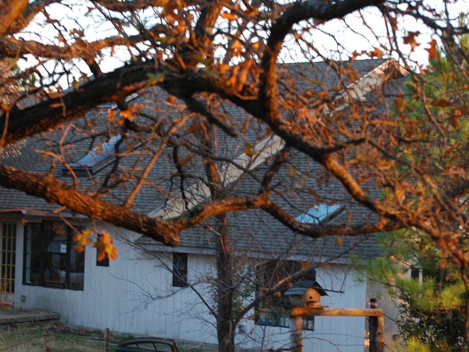Rear Elevation-View of Patio Area Under Large Oak