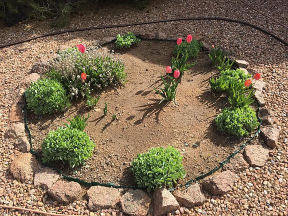 Front Circle -Tulips