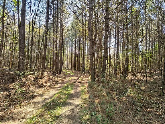 5th image of 0 Cohutta Varnell Rd