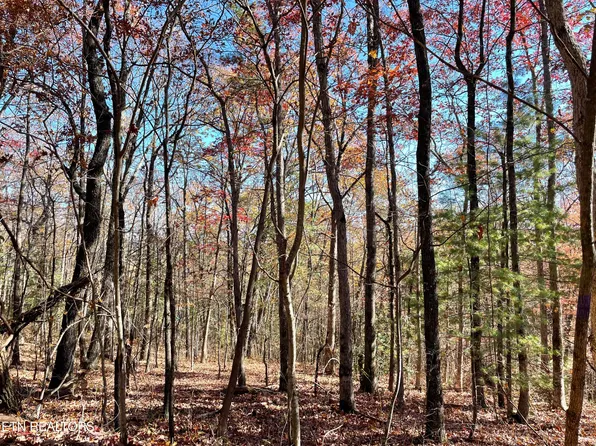 S Wallace Rd, Tallassee, TN 37878