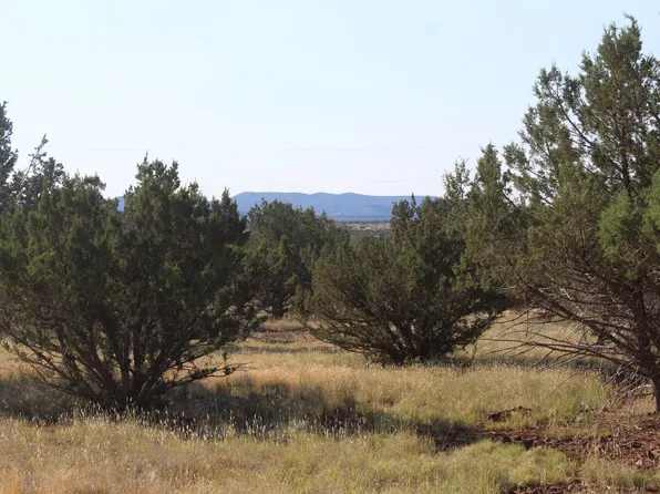 2470 N Luana Dr, Williams, AZ 86046