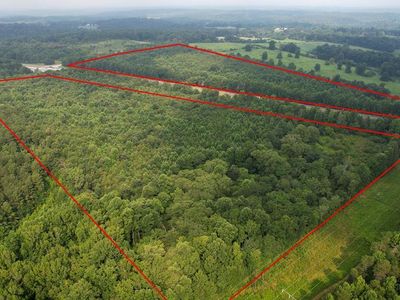 00 Alto Mud Creek Road, Alto, GA, 30510