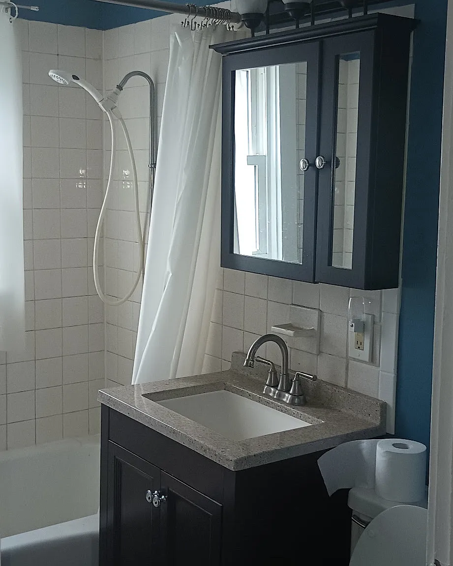 1 bed, 350 sqft, $900 — Photo 2