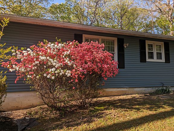 5th image of 119 White Mule Ln