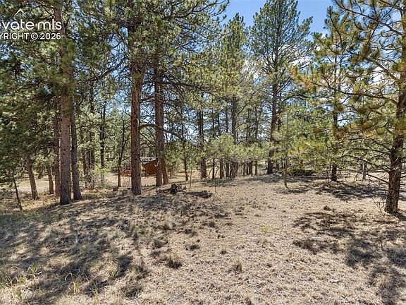3rd image of 349 Rhyolite Ln