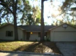 3405 Little Oak St, Valrico, FL 33596