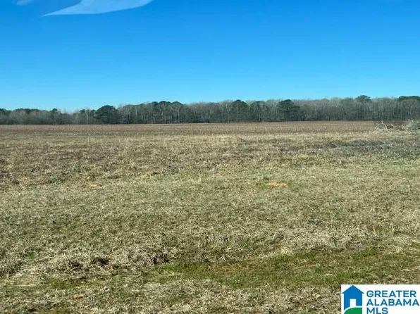 County Road 62 #0, Vincent, AL 35178