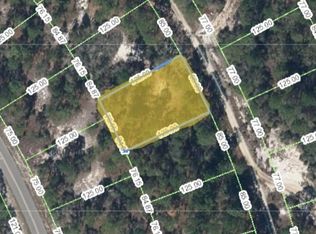 498 Blue Skies Dr, Lake Placid, FL 33852